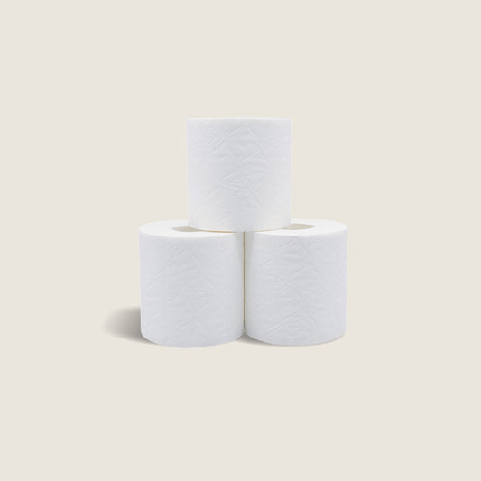 Toilet Paper 2 ply (400 sheets)